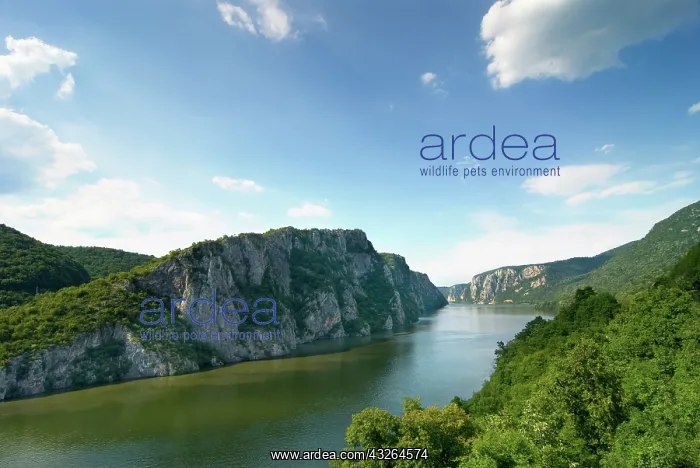 : Serbia, Danube at Iron Gates : Serbia, Danube at Iron Gates
