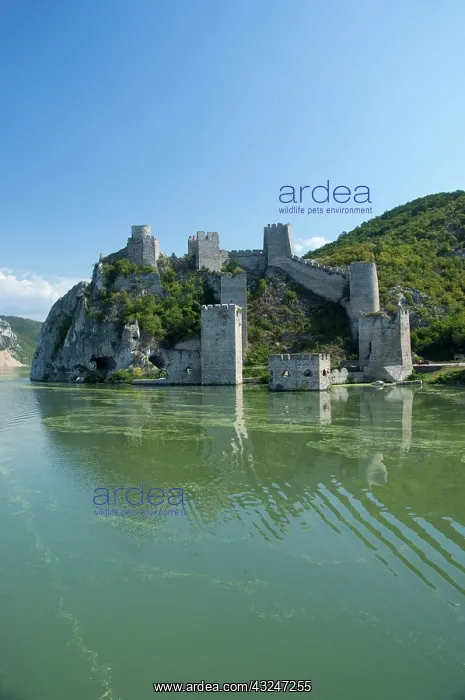 : Serbia, Danube River between Smederevo & : Serbia, Danube River between Smederevo &