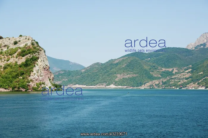 : Serbia / Romaina. Area around Veliko Gradis : Serbia / Romaina. Area around Veliko Gradis