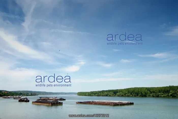  : Serbia, Smederevo along Danube river