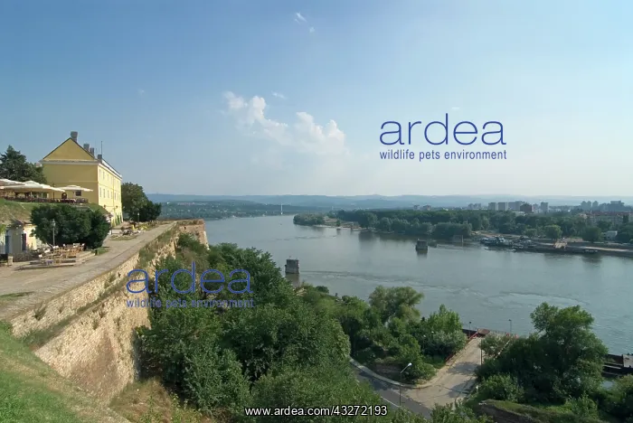 : Serbia, Voivodina, Novi Sad, Petrovaradin : Serbia, Voivodina, Novi Sad, Petrovaradin