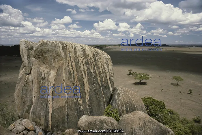 : Serengeti Rock Outcrop : Serengeti Rock Outcrop