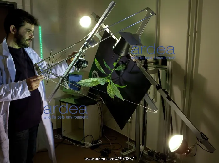 : Serge Douady using a Clinostat during the day - : Serge Douady using a Clinostat during the day -