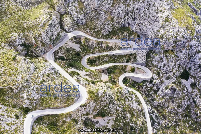 : Serpentine road MA-2141 to Sa Calobra, Serra de : Serpentine road MA-2141 to Sa Calobra, Serra de