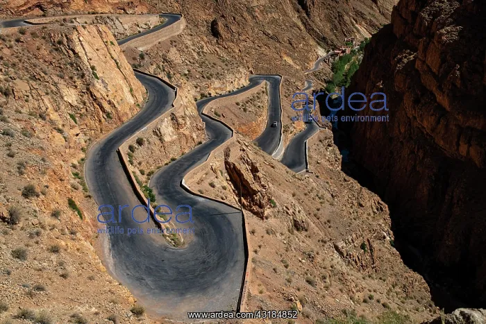  : Serpentine road R704 near Timzzillite in the upper