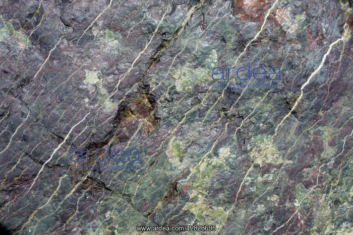 : Serpentine Rock : Serpentine Rock