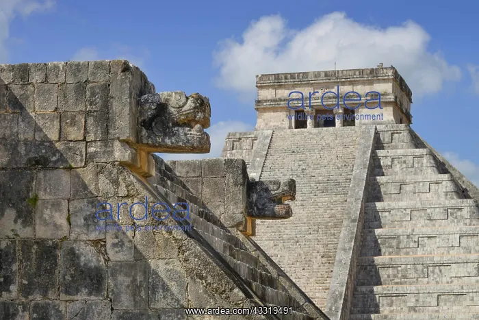 : Serpents Head, Platform of Venus Plataforma de : Serpents Head, Platform of Venus Plataforma de