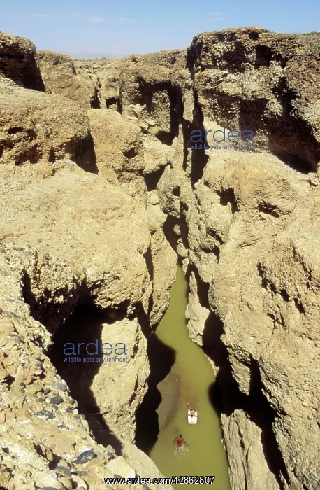 : The Sesriem canyon at the edge of the Namib Desert : The Sesriem canyon at the edge of the Namib Desert