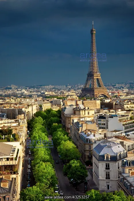 : Setting sun illuminates the Eiffel Tower : Setting sun illuminates the Eiffel Tower