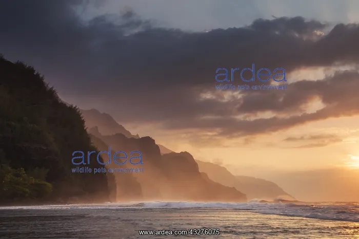 : The setting sun lights up the rugged cliff of t : The setting sun lights up the rugged cliff of t