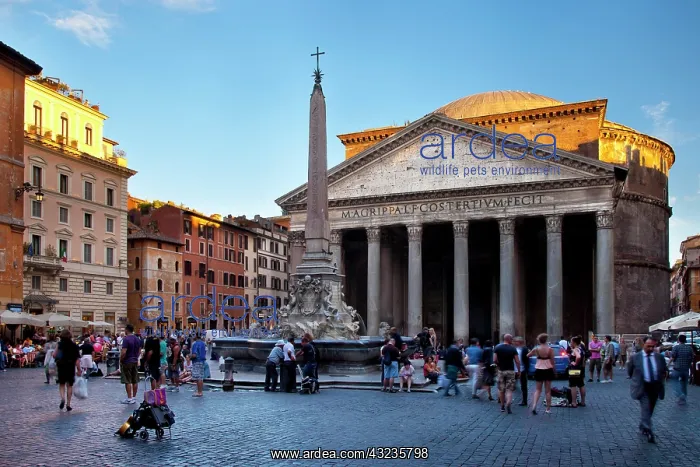 : Setting sunlight on the Pantheon, Rome Lazio : Setting sunlight on the Pantheon, Rome Lazio