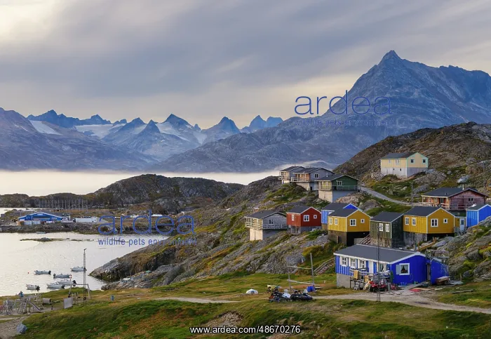 : Settlement Kuummiit (former Kummiut). Ammassalik area in : Settlement Kuummiit (former Kummiut). Ammassalik area in