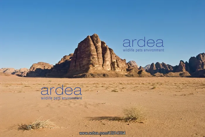 : Seven Pillars Mountain, Wadi Rum, Jordan : Seven Pillars Mountain, Wadi Rum, Jordan