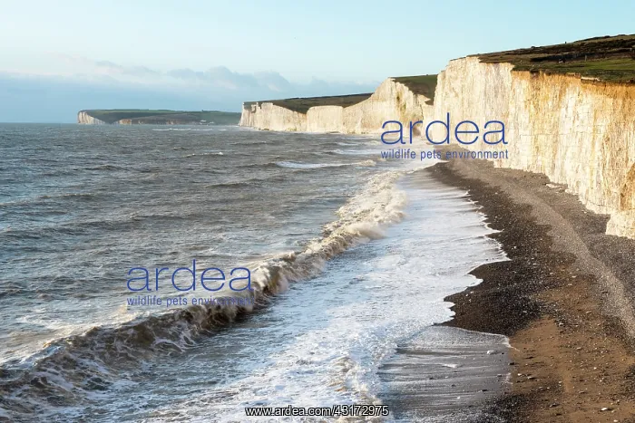 : Seven Sisters from Birling Gap : Seven Sisters from Birling Gap