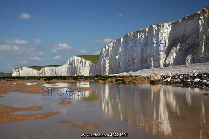 : Seven Sisters Chalk Cliffs, Birling Gap : Seven Sisters Chalk Cliffs, Birling Gap