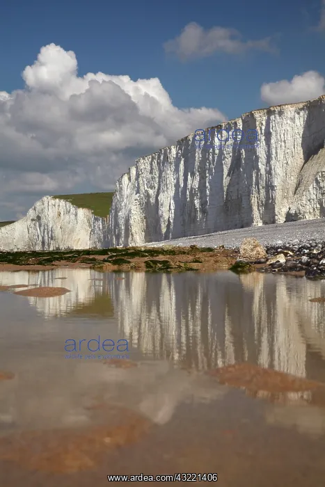 : Seven Sisters Chalk Cliffs, Birling Gap : Seven Sisters Chalk Cliffs, Birling Gap
