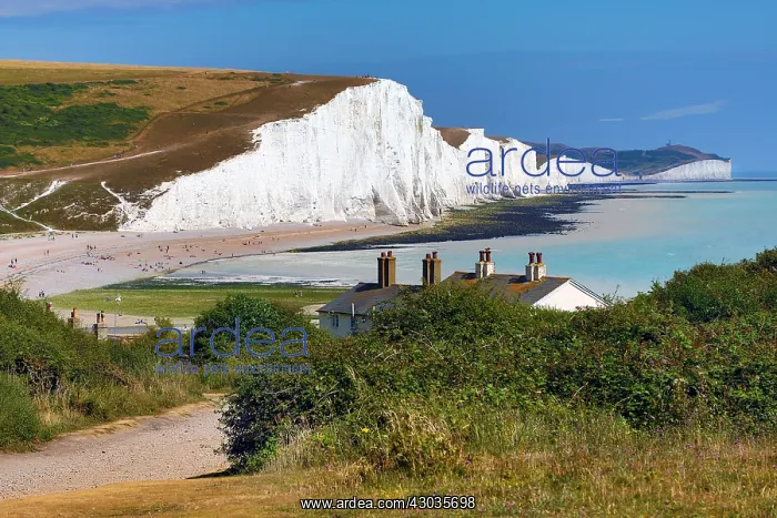  : The Seven Sisters chalk cliffs and Coastguard