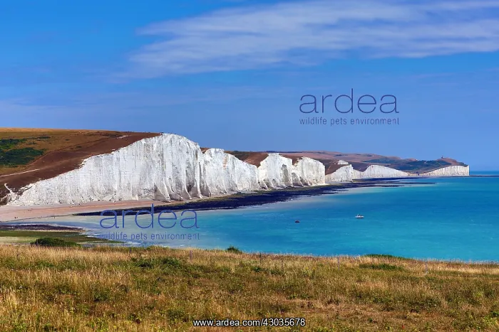  : The Seven Sisters chalk cliffs, Cuckmere Haven