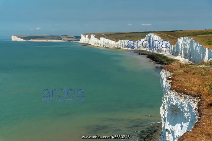 : The Seven Sisters chalk cliffs on the south coas : The Seven Sisters chalk cliffs on the south coas
