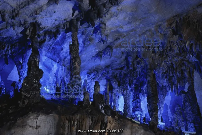 : Seven Star Cave, China : Seven Star Cave, China