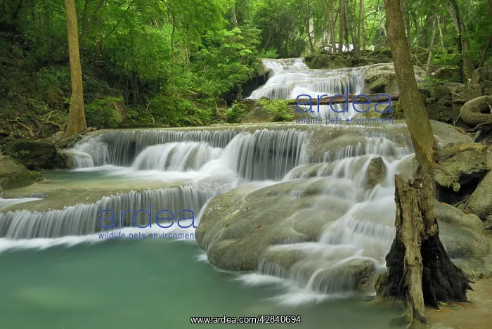 : Seven Step Waterfall - monsoon forest : Seven Step Waterfall - monsoon forest