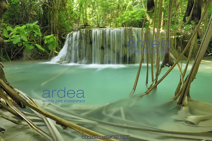 : Seven Step Waterfall - monsoon forest : Seven Step Waterfall - monsoon forest