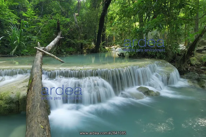 : Seven Step Waterfall - monsoon forest : Seven Step Waterfall - monsoon forest