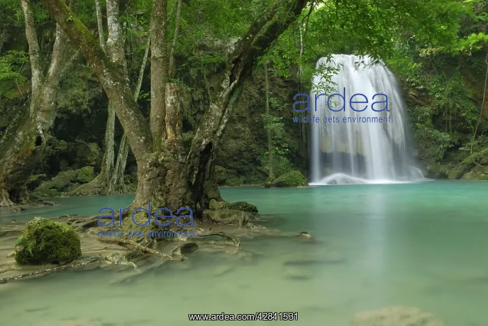 : Seven Step Waterfall - monsoon forest : Seven Step Waterfall - monsoon forest