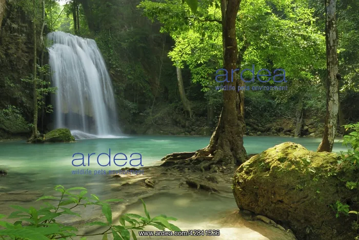: Seven Step Waterfall - monsoon forest : Seven Step Waterfall - monsoon forest