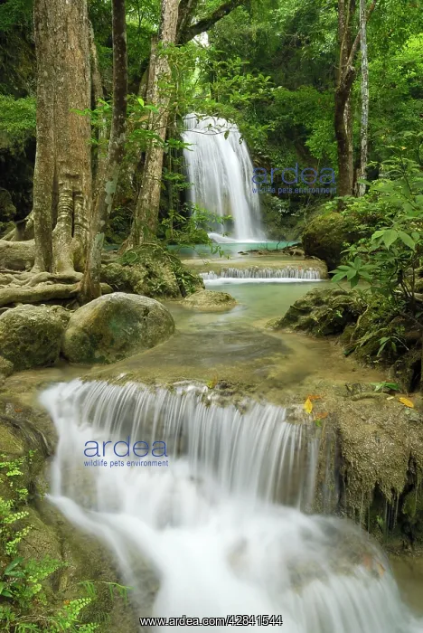 : Seven Step Waterfall - monsoon forest : Seven Step Waterfall - monsoon forest