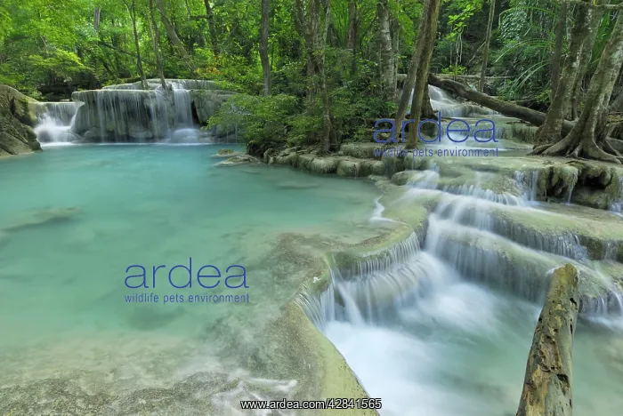 : Seven Step Waterfall - monsoon forest : Seven Step Waterfall - monsoon forest