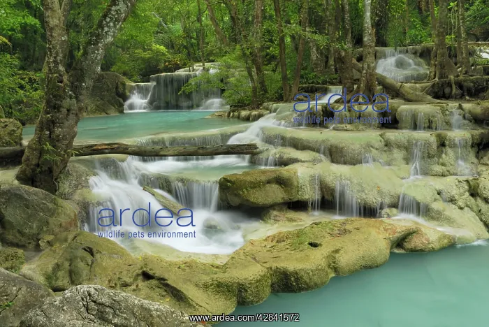 : Seven Step Waterfall - monsoon forest : Seven Step Waterfall - monsoon forest