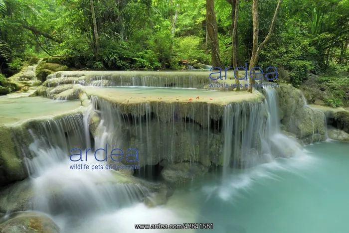 : Seven Step Waterfall - monsoon forest : Seven Step Waterfall - monsoon forest