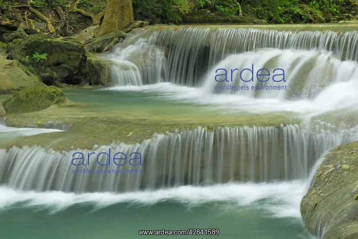 : Seven Step Waterfall - monsoon forest : Seven Step Waterfall - monsoon forest
