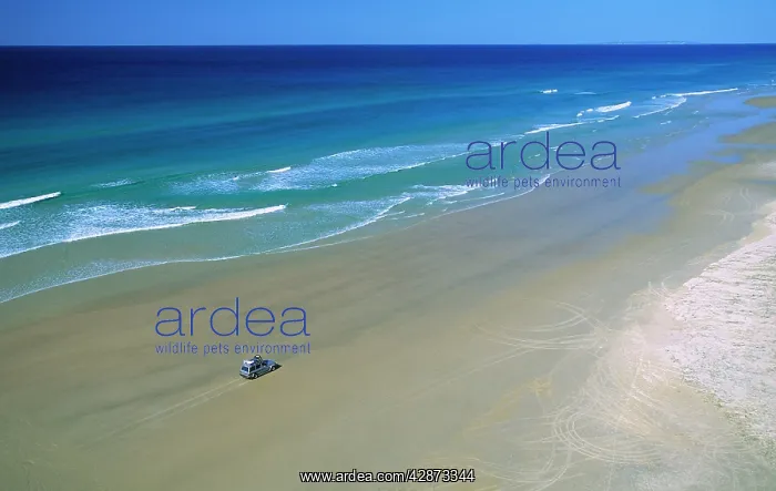 : Seventy-five Mile Beach with 4WD vehicle : Seventy-five Mile Beach with 4WD vehicle