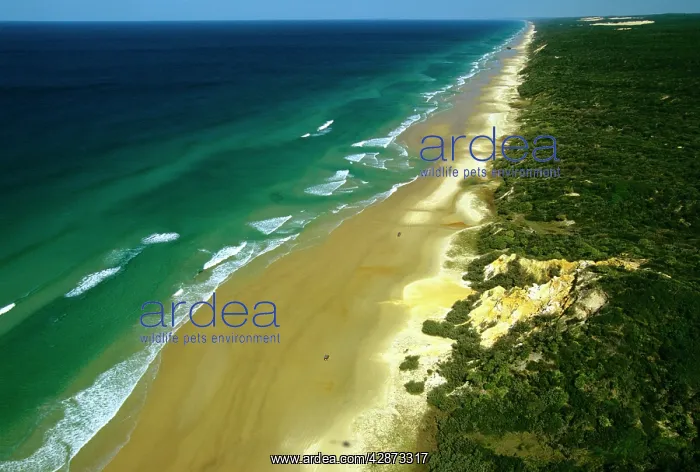: Seventy-five Mile Beach aerial : Seventy-five Mile Beach aerial