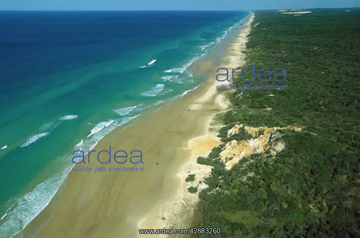 : Seventy Five Mile Beach Great Sandy National Park : Seventy Five Mile Beach Great Sandy National Park