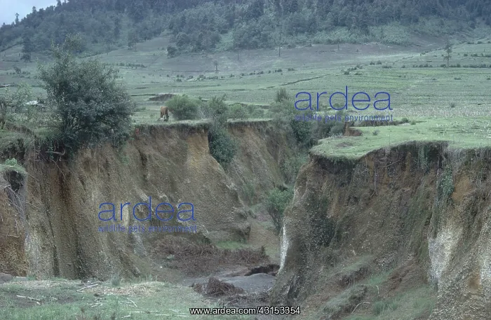 : Severe Erosion from Farming : Severe Erosion from Farming