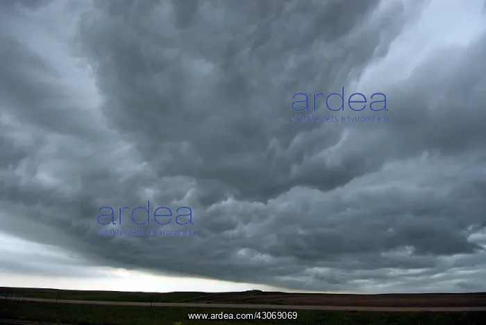 : Severe Thunderstorm : Severe Thunderstorm