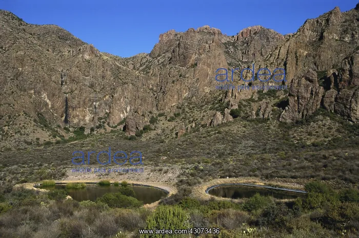 : Sewage Lagoons : Sewage Lagoons