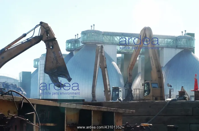 : Sewage Treatment Plant : Sewage Treatment Plant