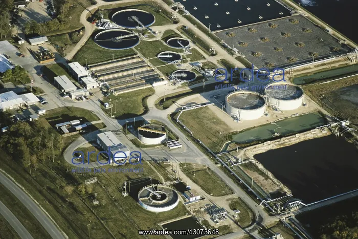 : Sewage Treatment Plant, Houston, Texas : Sewage Treatment Plant, Houston, Texas