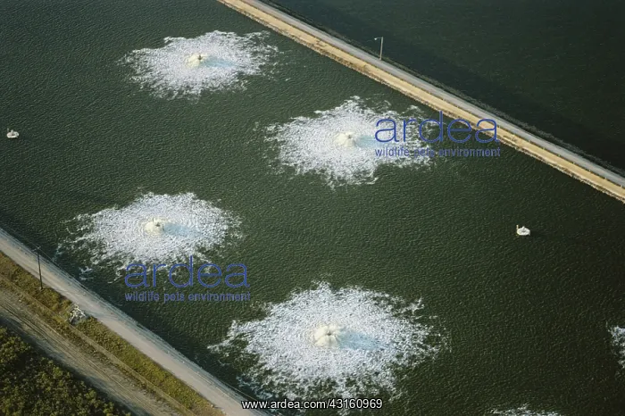 : Sewage Treatment Plant, Houston, Texas : Sewage Treatment Plant, Houston, Texas