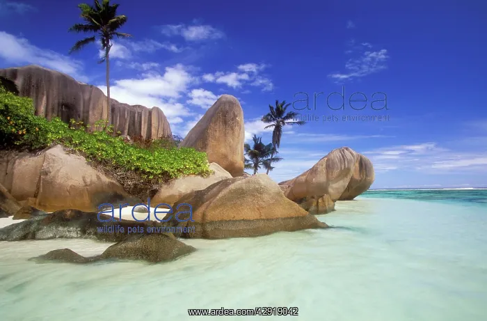 : SEYCHELLES : SEYCHELLES