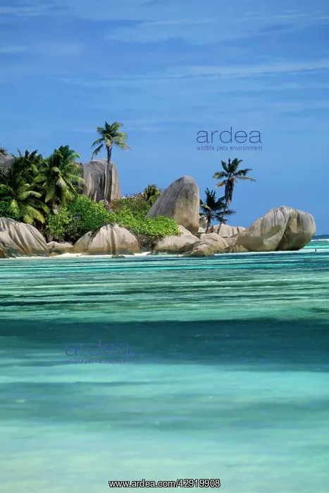 : SEYCHELLES : SEYCHELLES