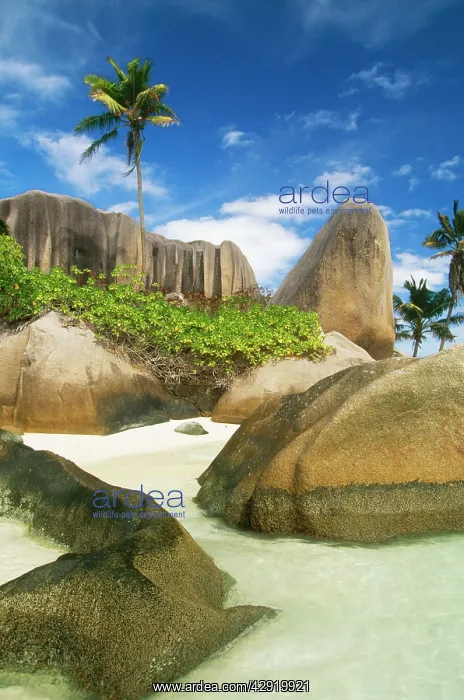 : SEYCHELLES : SEYCHELLES