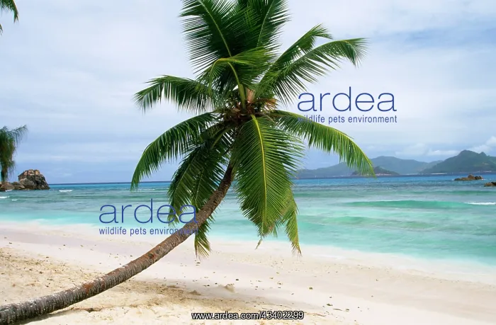 : SEYCHELLES : SEYCHELLES