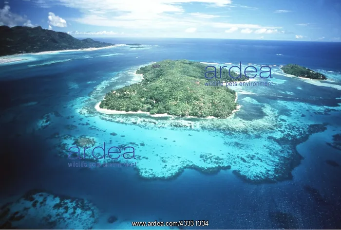 : SEYCHELLES - aerial of Reefs and Islands : SEYCHELLES - aerial of Reefs and Islands