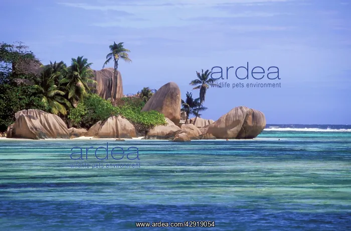  : SEYCHELLES - Anse Source D'Argent beach