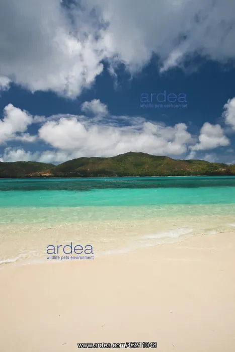  : Seychelles, Curieuse Island, Anse St. Jose